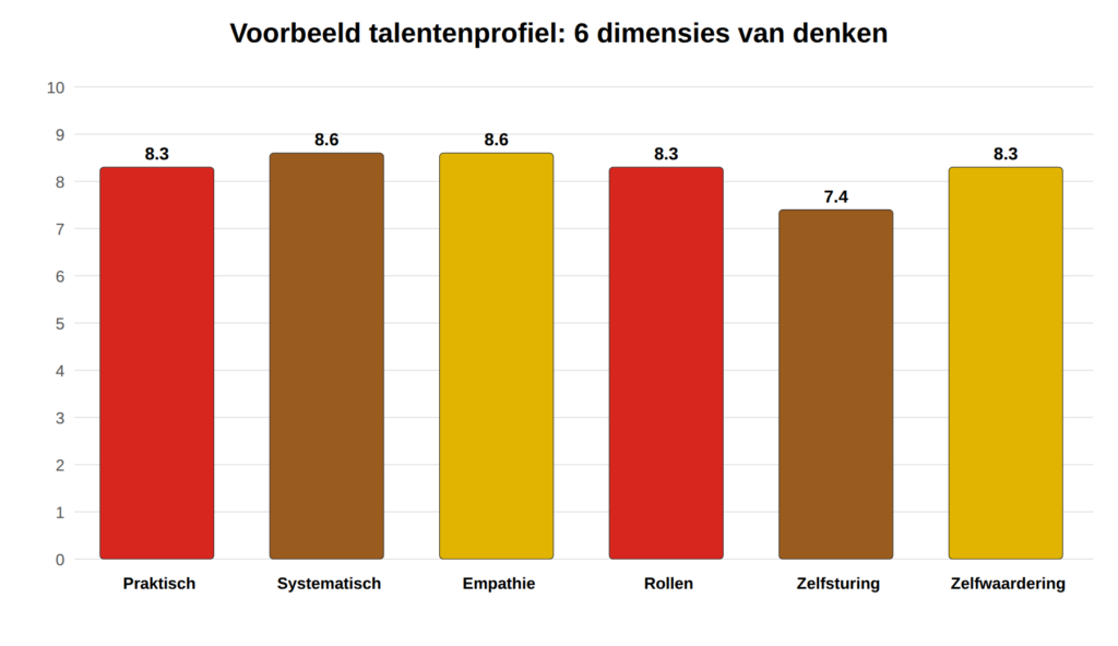 Staafdiagram voorbeeld denkdimensies: praktisch 8,3, systematisch 8,6, empathie 8,6, rollen 8,3, zelfsturing 7,4, zelfwaardering 8,3